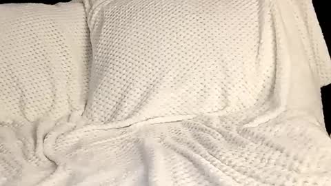 Annie online show from 03-12-25, 10:17