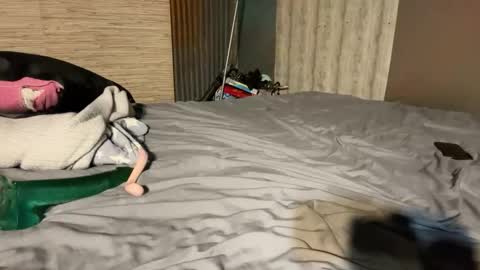 Stony online show from 01-08-26, 07:16