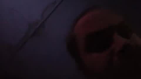 sloth online show from 02-20-26, 11:43