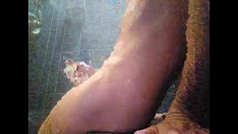 surferxzx online show from 01-27-25, 12:54