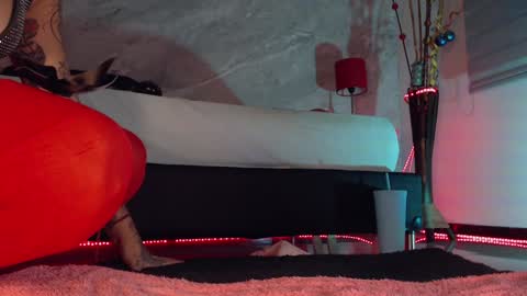 Snapshot of susan_hottie_ chatting on 12-17-24, 10:54    online show from 12-17-24, 10:54