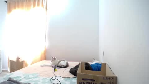 Susana online show from 01-23-25, 04:59