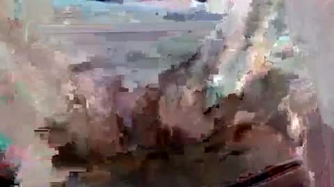 Snapshot of suttond4858 chatting on 09-12-25, 07:03 suttond4858 online show from 09-12-25, 07:03