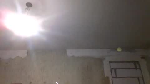 Snapshot of svetifox chatting on 01-19-25, 12:17 Sveti online show from 01-19-25, 12:17