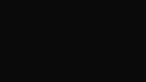 Swakken online show from 01-28-25, 08:47