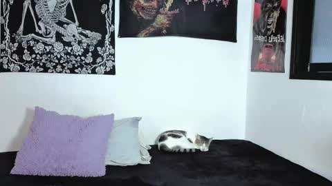 Natasha  independent modelo online show from 04-06-26, 09:49