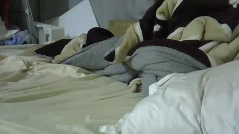 Bellah online show from 03-08-26, 09:29