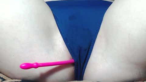 Kitten online show from 04-01-26, 07:53