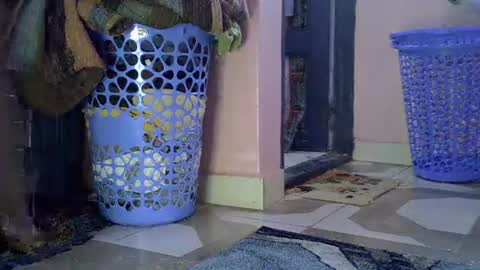 Lisa online show from 02-01-26, 08:13