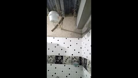 Nhaomy online show from 12-19-25, 08:16