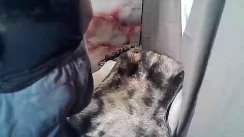 RUBY online show from 11-19-25, 02:55