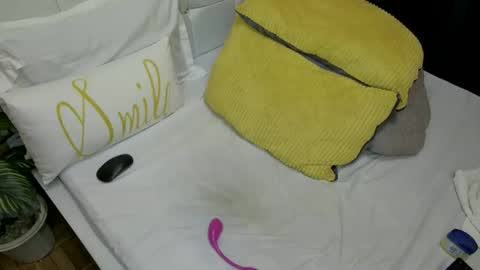 Snapshot of sweet_spoon chatting on 12-30-24, 10:55 Nina online show from 12-30-24, 10:55