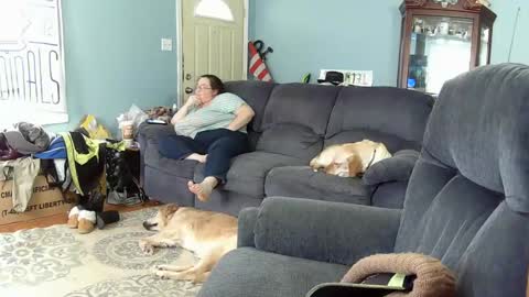 DJ  M 489 Babygirl  F 37 online show from 02-06-25, 04:03