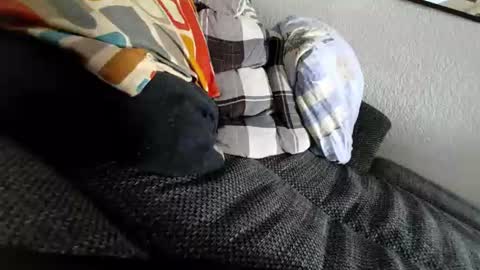 Snapshot of sweetboyb3nja chatting on 07-31-26, 02:49 Sweetboy online show from 07-31-26, 02:49