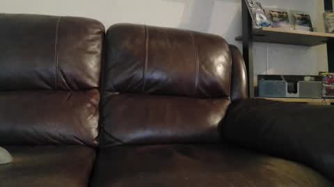 sweetcocksean online show from 03-10-26, 11:43