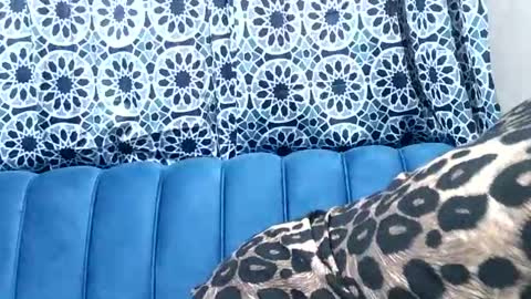 sweetgal11 online show from 07-03-26, 10:32