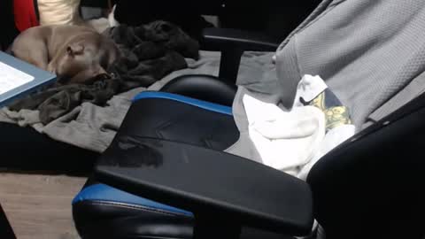 sweetgesus online show from 11-06-25, 03:57