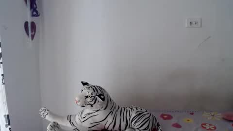 sweetgirsl online show from 04-29-26, 07:20