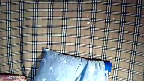 Snapshot of sweetiepiexxxx chatting on 07-31-26, 01:49 jess online show from 07-31-26, 01:49