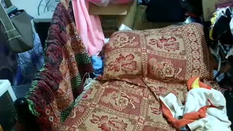sweetmature_69 online show from 07-28-26, 06:53