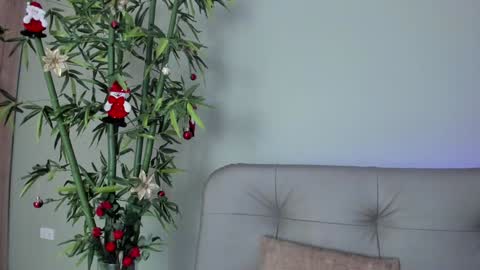    online show from 12-29-24, 10:36