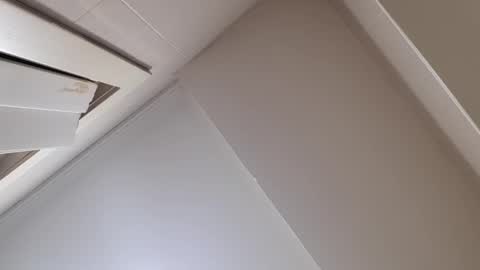 Silvia online show from 12-10-24, 07:54