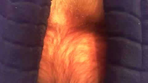swils67 online show from 04-25-26, 04:37