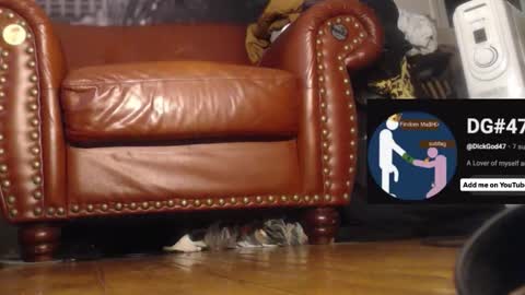 The DickGod online show from 12-01-25, 06:46