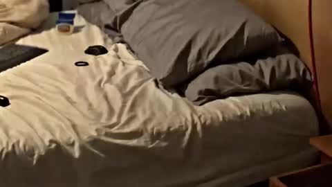 SissyDenver online show from 11-25-25, 08:25