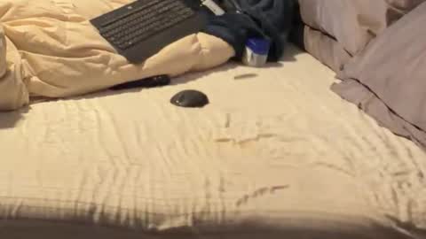 SissyDenver online show from 12-18-25, 11:05