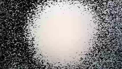 subfordomme online show from 03-28-26, 09:25