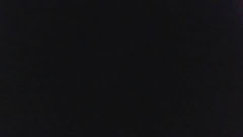 sylvertaurus1 online show from 10-31-25, 11:55