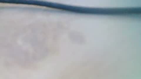 syrius57920 online show from 12-05-24, 08:22