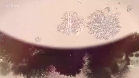 TAANNI online show from 02-22-26, 10:08