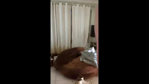 tab7exp online show from 03-21-26, 01:21