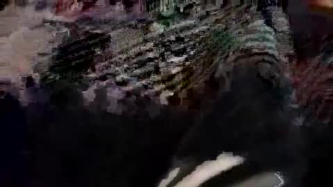 Canon online show from 03-21-26, 06:11