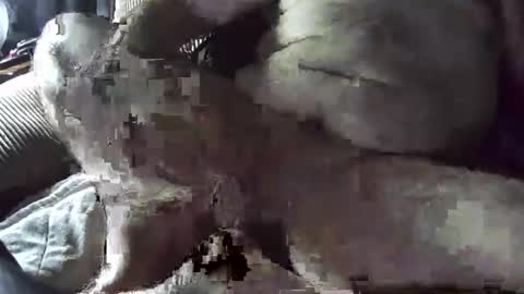 Snapshot of tacozod chatting on 01-02-25, 10:33 tacozod online show from 01-02-25, 10:33