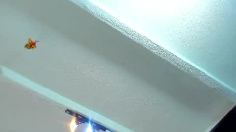 Snapshot of tafari_1 chatting on 05-22-26, 11:05 Tafari Zulu online show from 05-22-26, 11:05