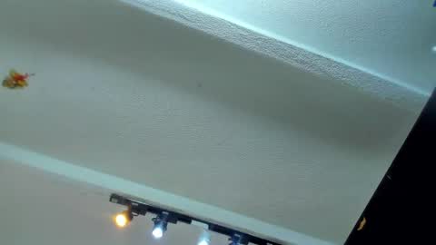Snapshot of tafari_1 chatting on 06-04-26, 11:16 Tafari Zulu online show from 06-04-26, 11:16