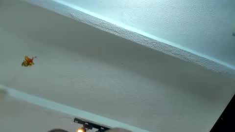 Snapshot of tafari_1 chatting on 06-07-26, 11:58 Tafari Zulu online show from 06-07-26, 11:58