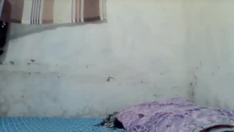 taliah254 online show from 12-17-25, 12:33