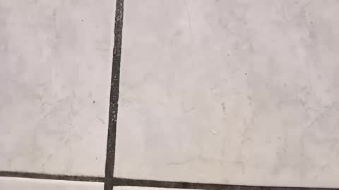 tall6feet7inch online show from 09-29-25, 08:41