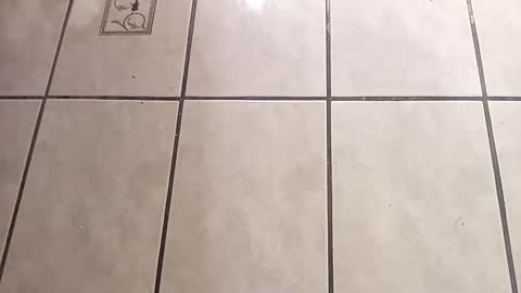 tall6feet7inch online show from 10-01-25, 09:04