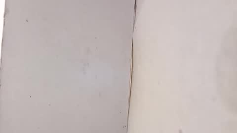 tall6feet7inch online show from 02-01-26, 10:08