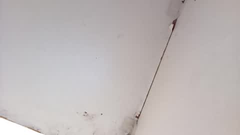 tall6feet7inch online show from 03-16-26, 08:40