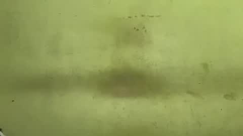 Tanya online show from 11-23-25, 04:45