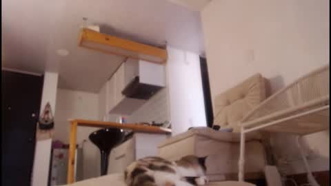 Tamara online show from 03-15-26, 08:15