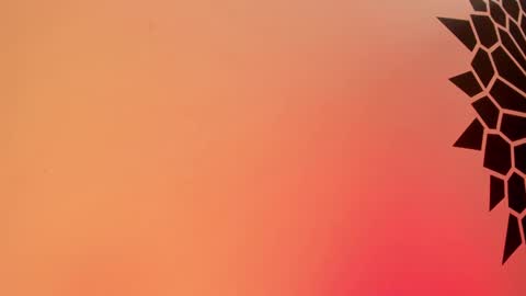 Snapshot of tamarathompsonn chatting on 02-25-25, 03:49 Tamara. online show from 02-25-25, 03:49