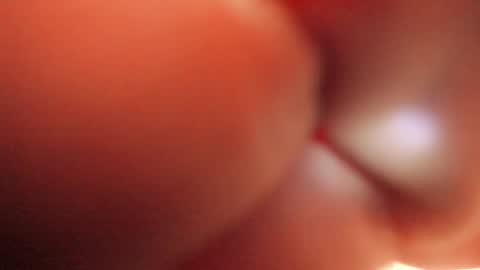 Snapshot of tamarathompsonn chatting on 09-10-25, 06:24 Tamara. online show from 09-10-25, 06:24