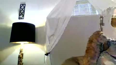 Tammygold online show from 06-23-26, 07:23